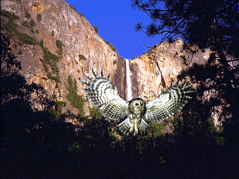 Yosemite Wallpaper